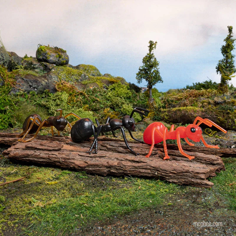 Ants!