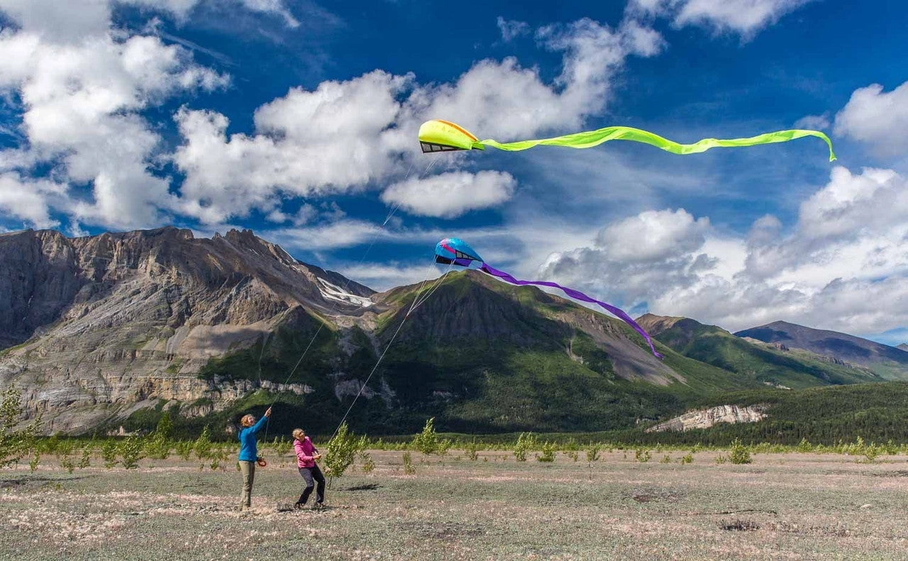 Bora 5 Single Line Kite Blaze