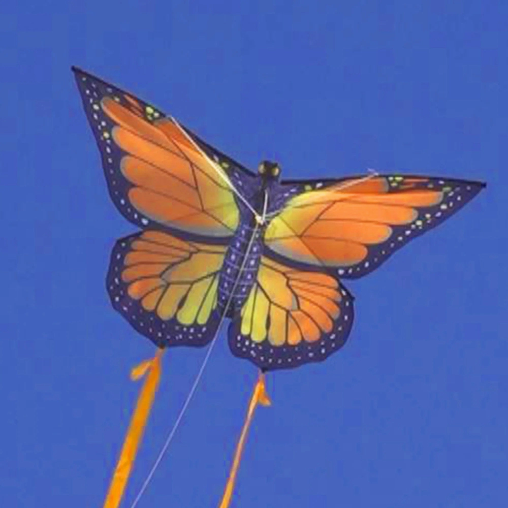 Butterfly 32" Kites