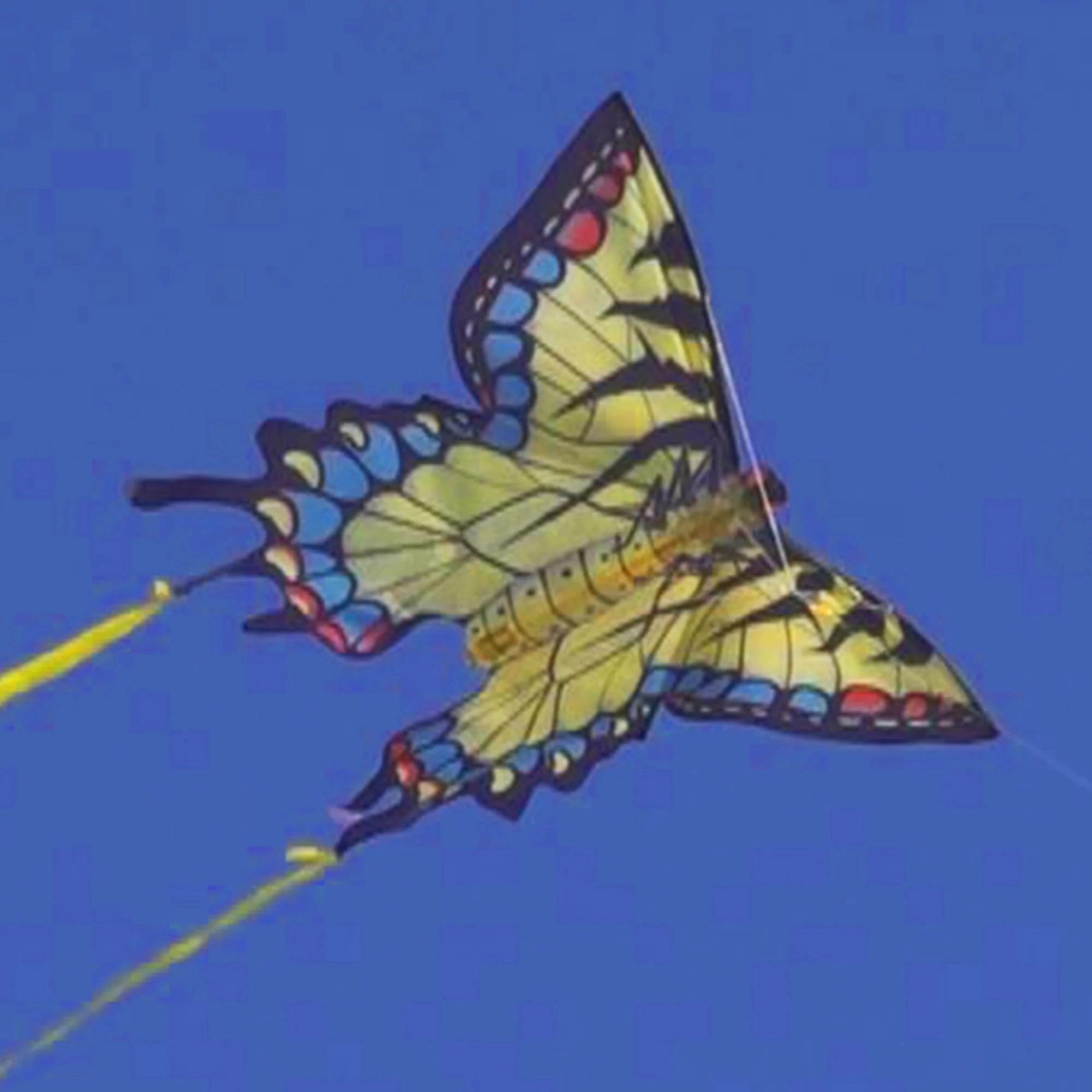 Butterfly 32" Kites