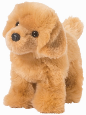 Chap Golden Retriever