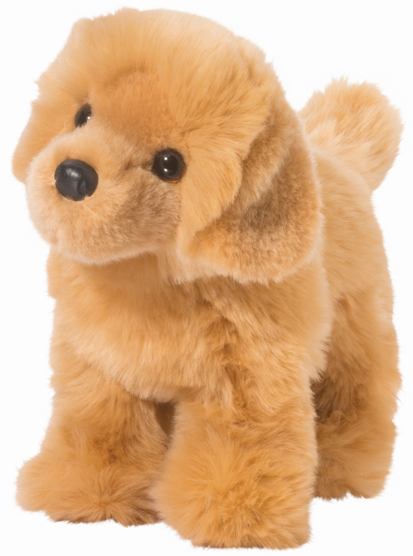 Chap Golden Retriever