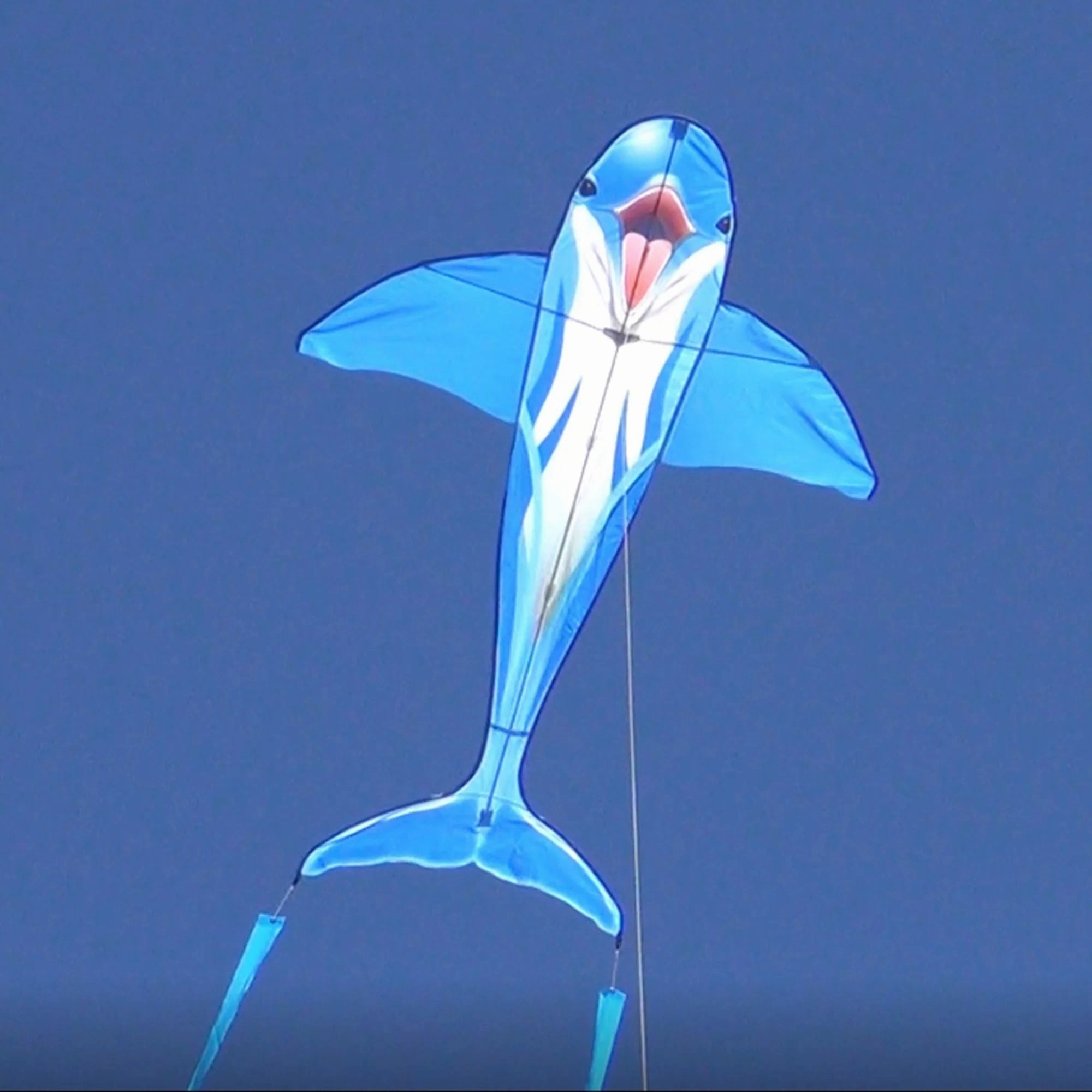 Dolphin 60" Kite
