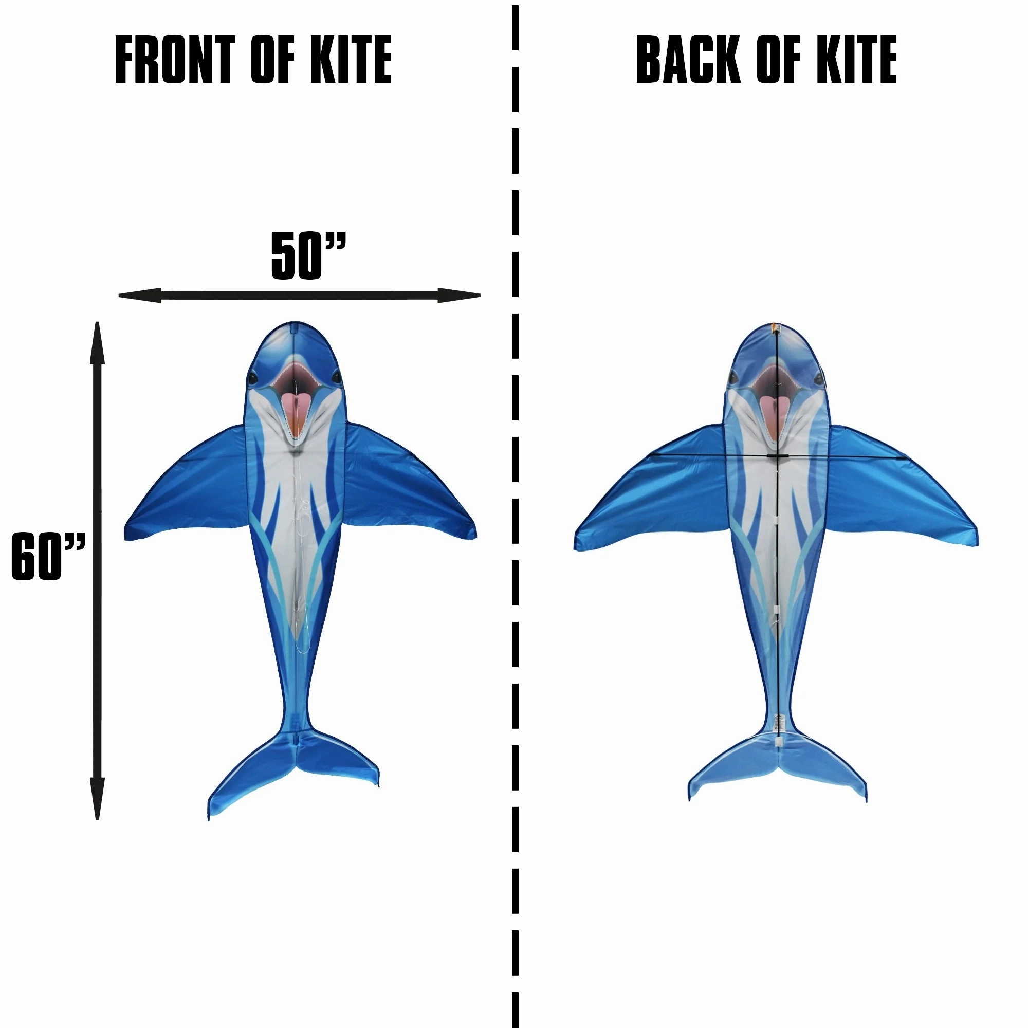 Dolphin 60" Kite