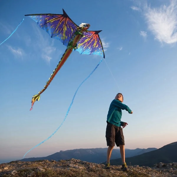 Dragon 76" 3-D Kite