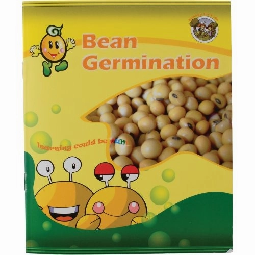 Encased Bean Germination Stages Set | Poly-Resin Models for Teaching Plant Growth