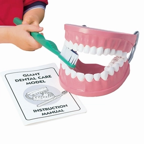 Giant Dental Care Teaching Model with Real-Bristled Toothbrush