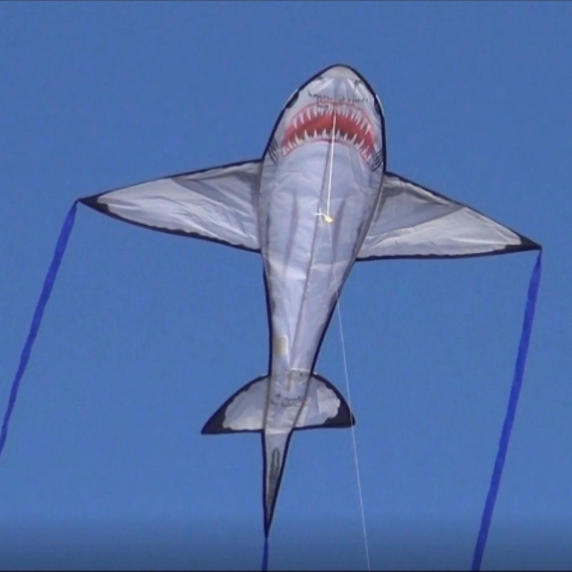 Great White Shark 60" Kite