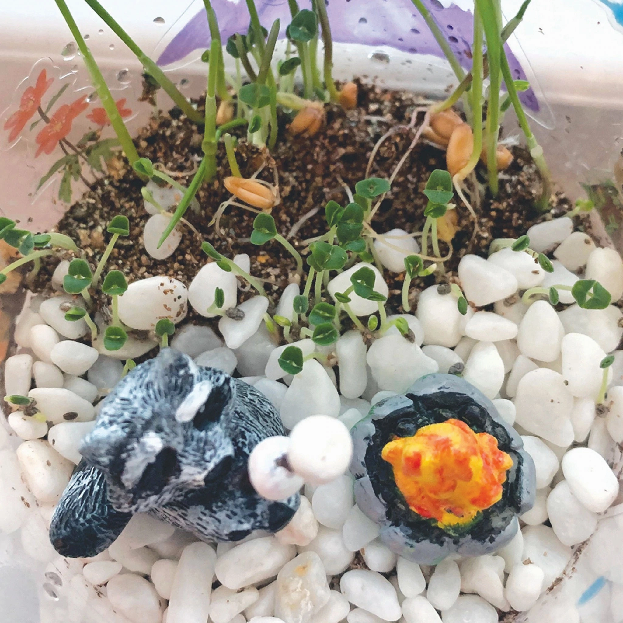 Grow and Glow Terrarium