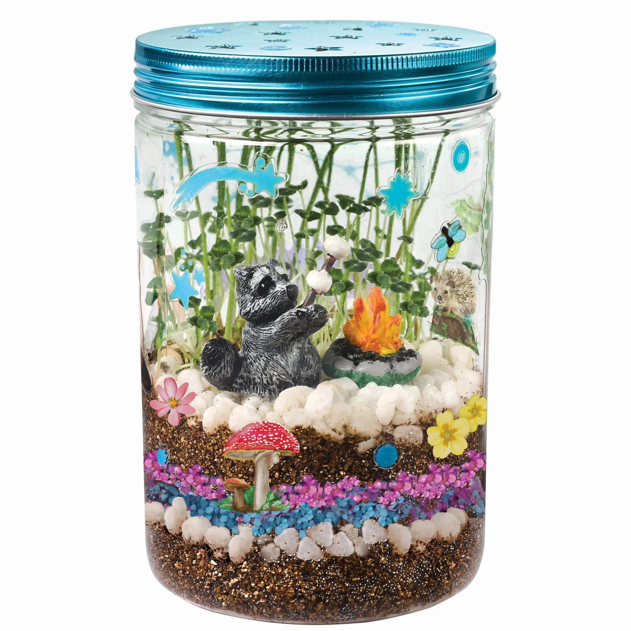 Grow and Glow Terrarium
