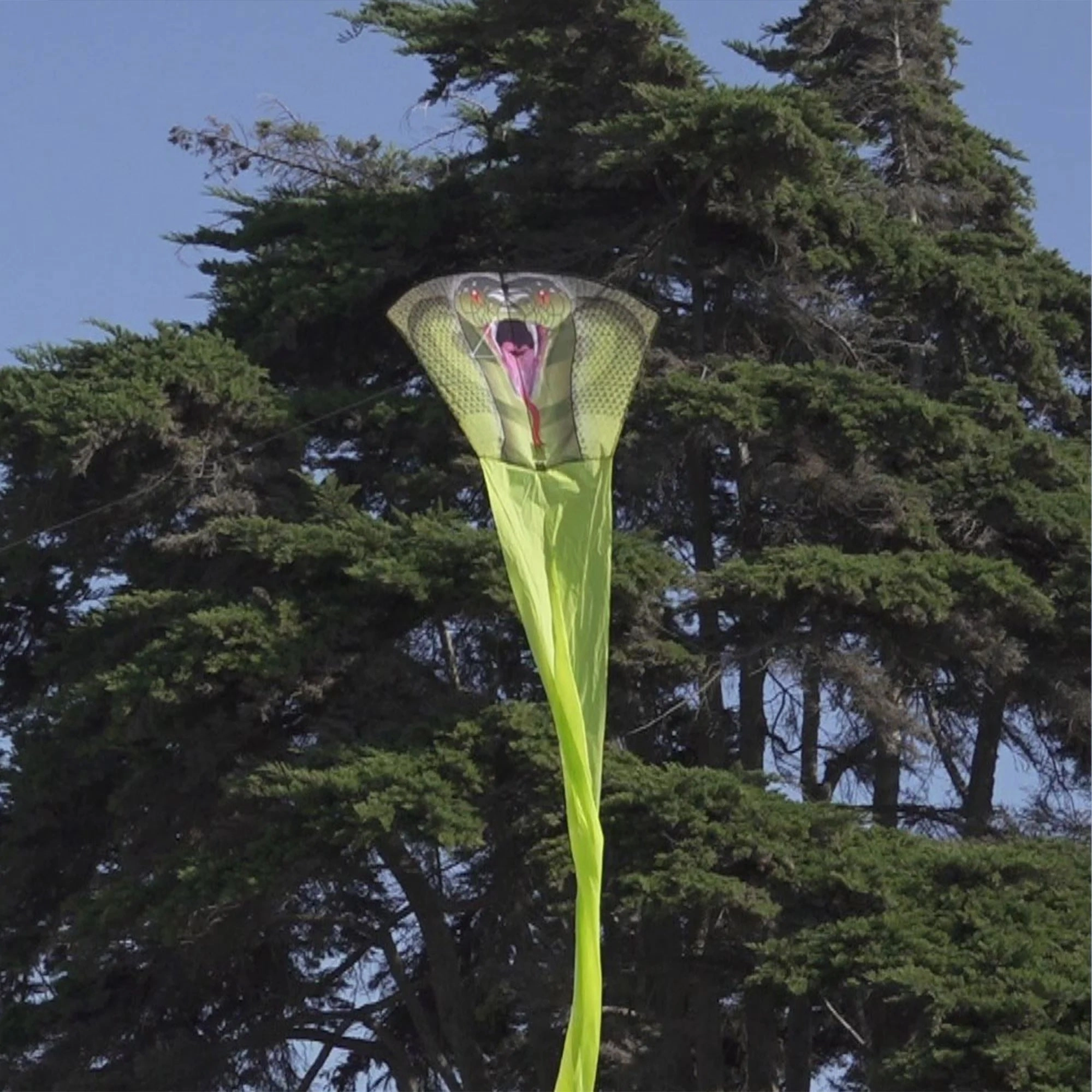 King Cobra 147" Kite