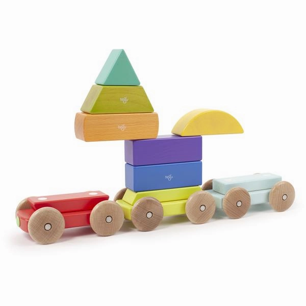 Magnetic Shape Train
