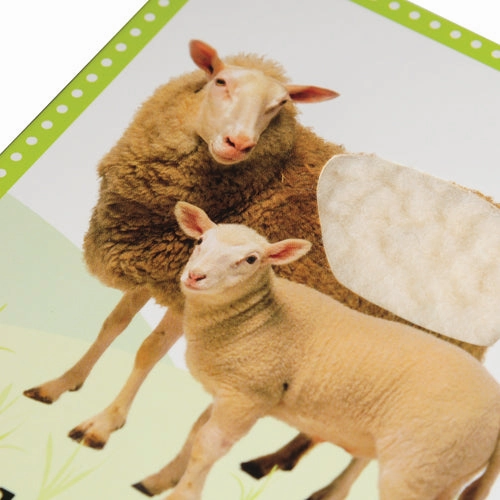 My First Touch & Feel Cards / Farm