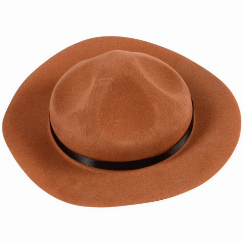 Park Ranger Costume with Bear