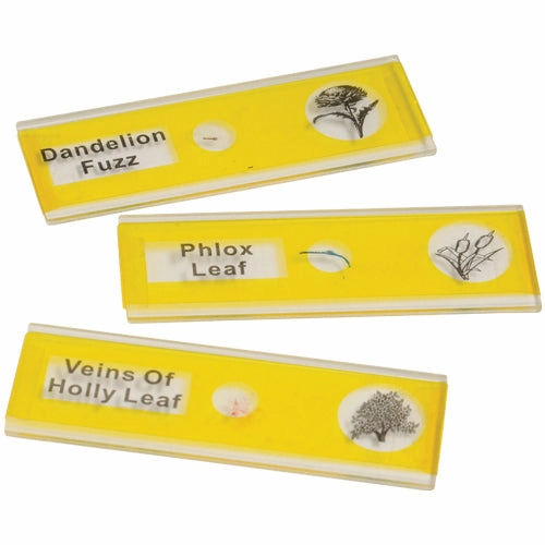Prepared Slide Kit - Plants