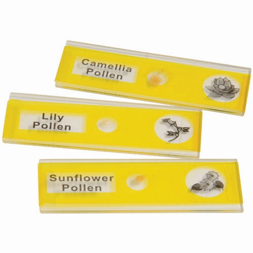 Prepared Slide Kit - Plants