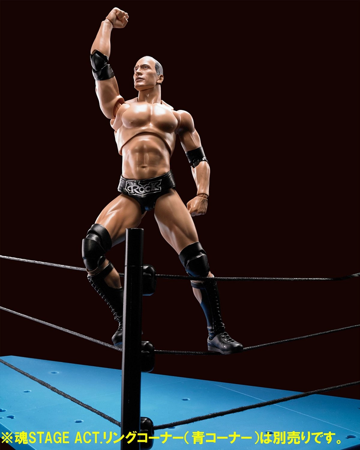 S.H. Figuarts Dwayne The Rock Johnson WWE Action Figure