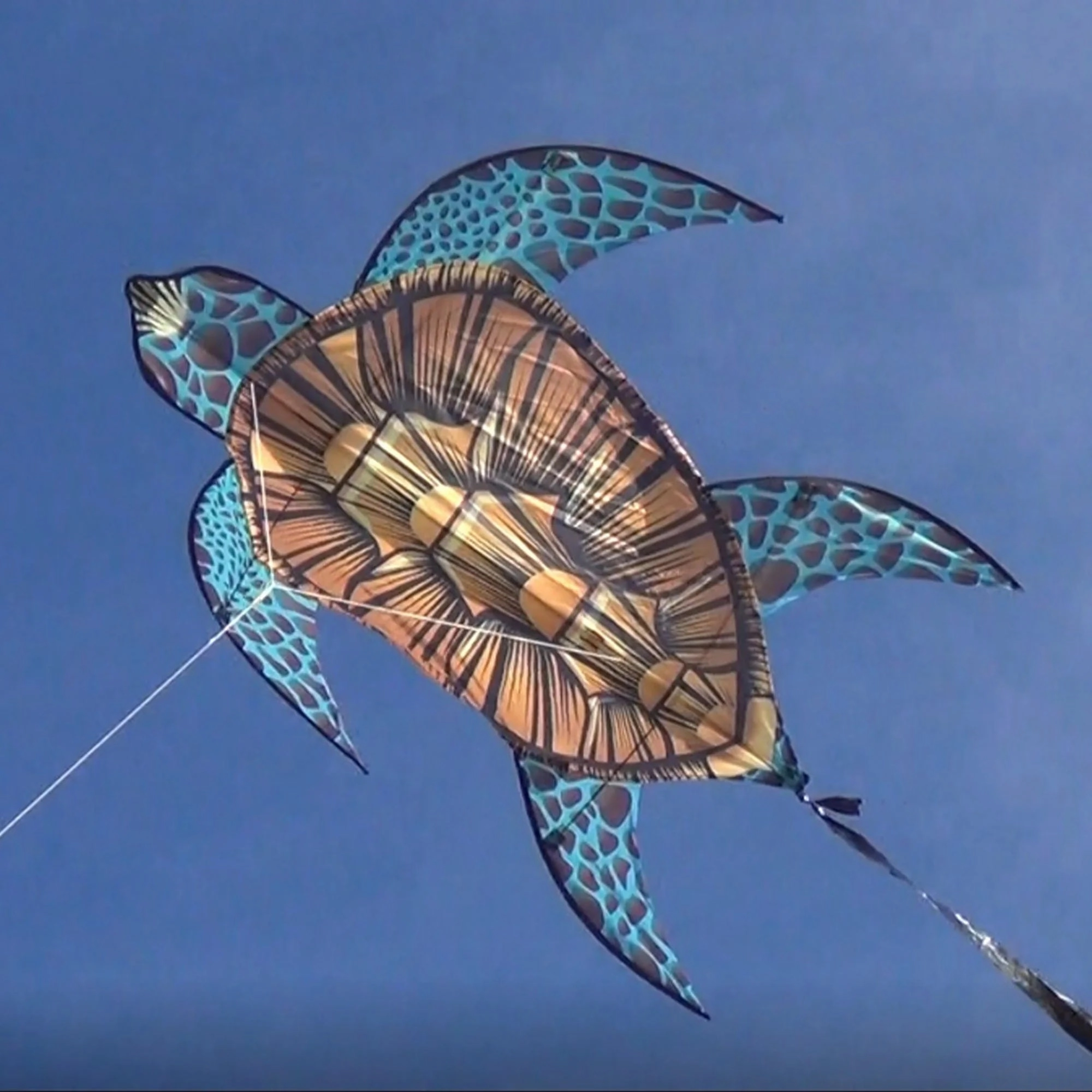 Sea Turtle 40" Kite