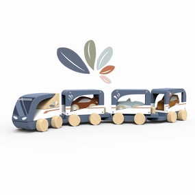 Train Vehicle Carrier