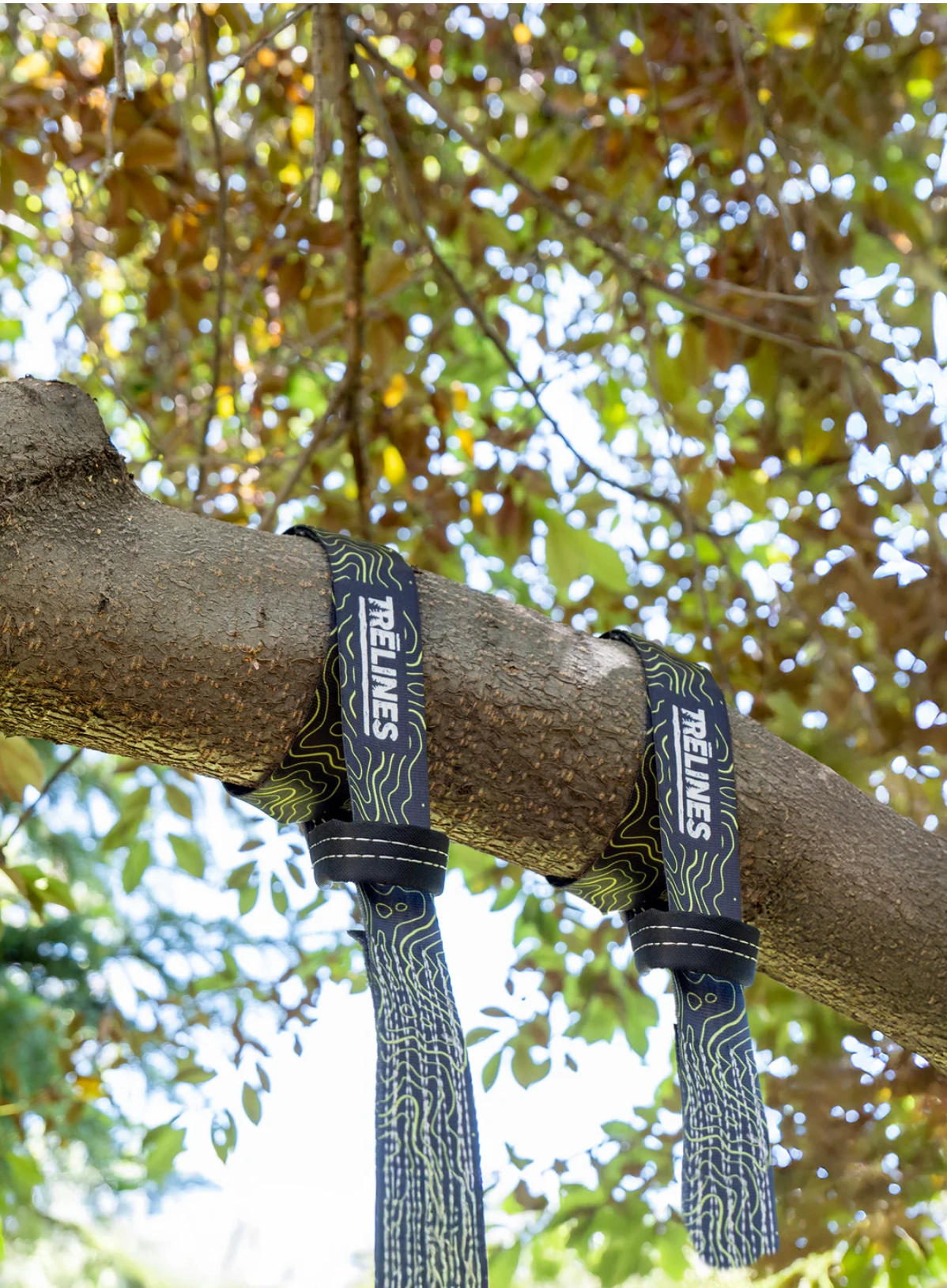 TreSwing Strap Kit