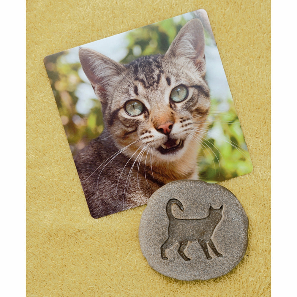 Yellow Door Let's Investigate Farm Yard Footprints Double-Sided Animal Stones