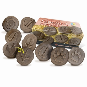 Yellow Door Let's Investigate Farm Yard Footprints Double-Sided Animal Stones