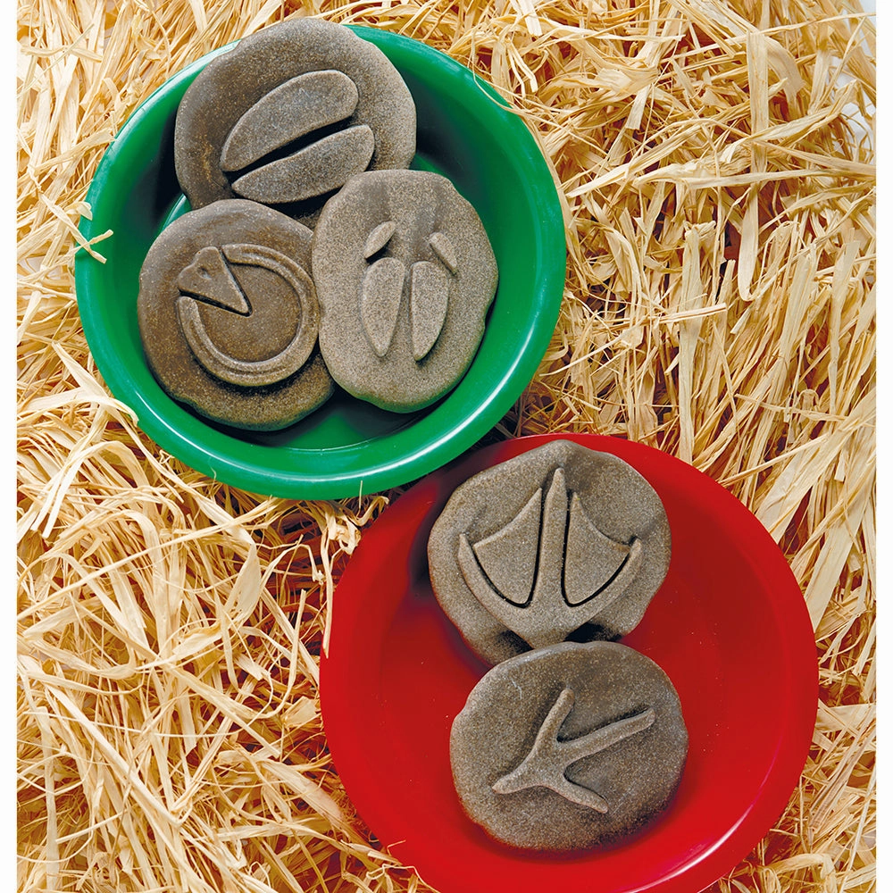 Yellow Door Let's Investigate Farm Yard Footprints Double-Sided Animal Stones